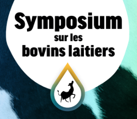 Symposium sur les bovins laitiers 2024