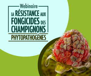 Webinaire sur la résistance aux fongicides des champignons phytopathogènes