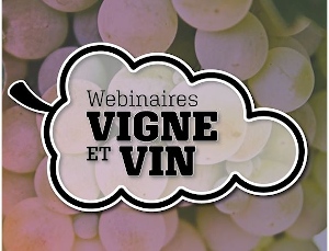 Série Webinaires vigne et vin - 2025