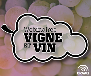 Série Webinaires vigne et vin - 2025