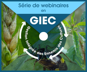 Série de webinaires en GIEC 