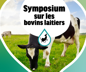  Symposium sur les bovins laitiers 2024