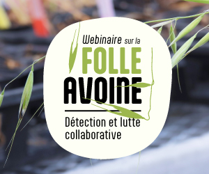 Webinaire sur la folle avoine : Détection et lutte collaborative