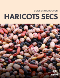 Guide de production : Haricots secs