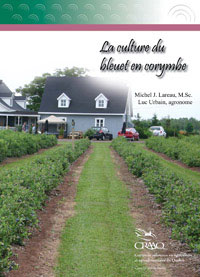 La culture du bleuet en corymbe