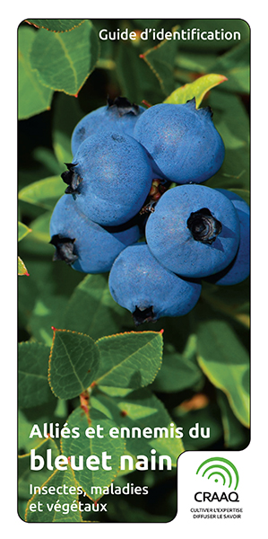 Guide d'identification - Alliés et ennemis du bleuet nain