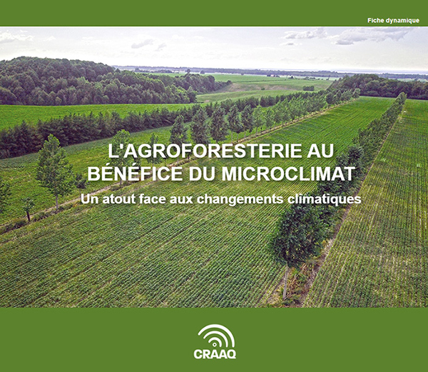 L'agroforesterie au bénéfice du microclimat : un atout face aux changements climatiques