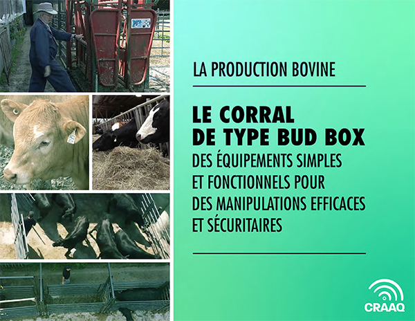 Le corral de type Bud Box - des équipements simples et fonctionnels pour des manipulations efficaces et sécuritaires (PDF)