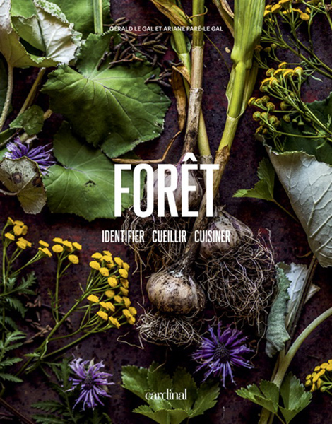 Forêt - Identifier, cueillir, cuisiner