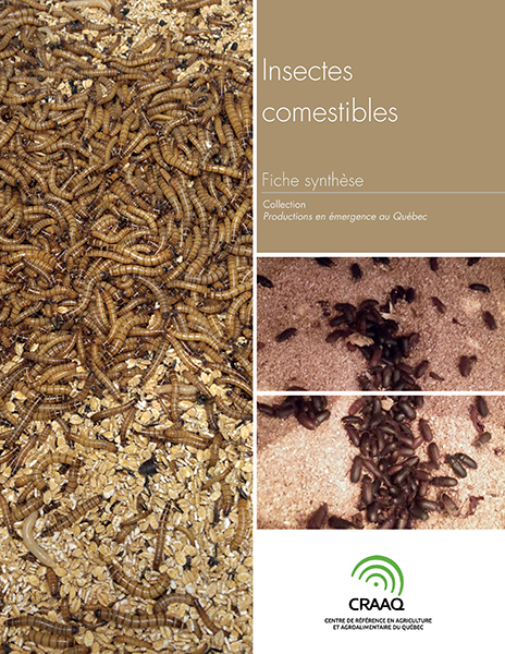 Fiche synthèse - Insectes comestibles (PDF)