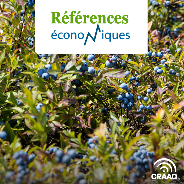 Bleuet nain semi-cultivé - Budget - 2022