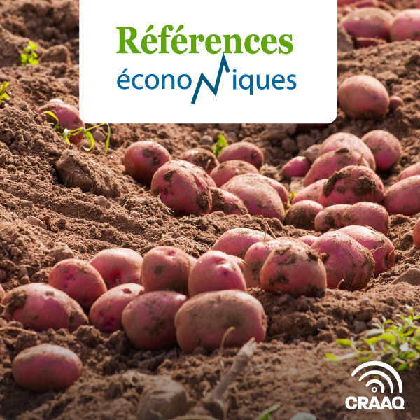 Pomme de terre biologique - Budget - 2016