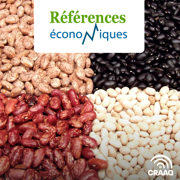 Haricots secs petits haricots ronds - budget à l'hectare 2024