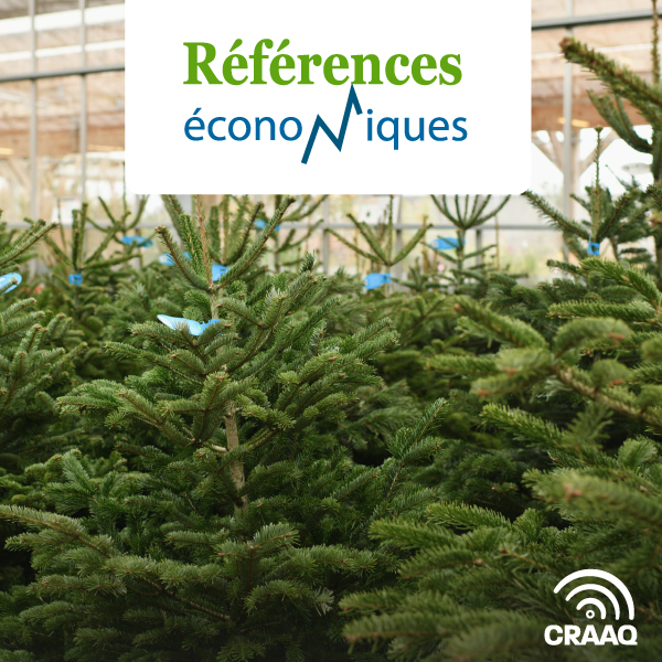 Arbres de Noël - Budget d'entreprise -  2012 révision 2016 