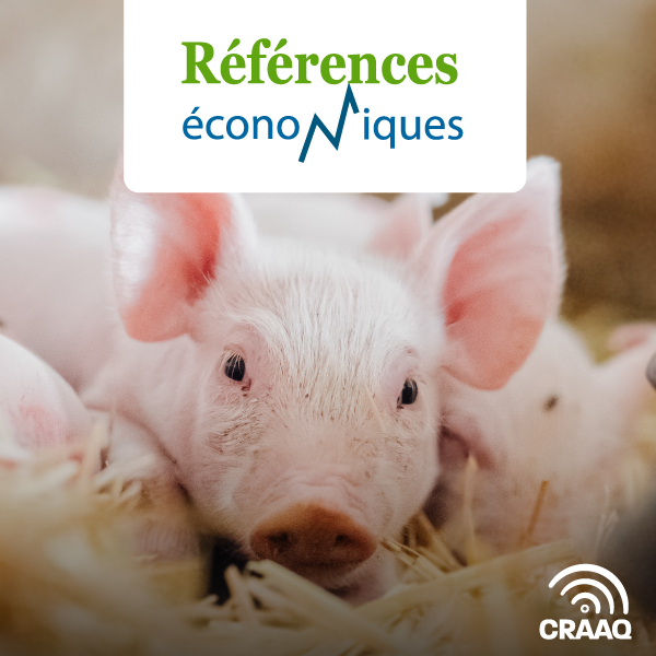 Porc - Maternité - Budget - 2020