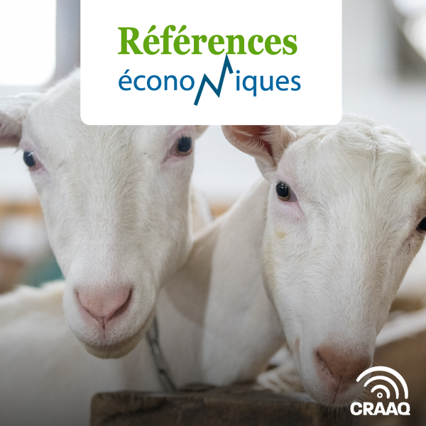 Chèvre laitière - Budget d'entreprise - 2024