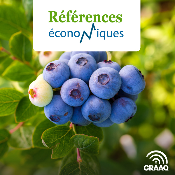 Bleuet en corymbe - Budget - Janvier 2021