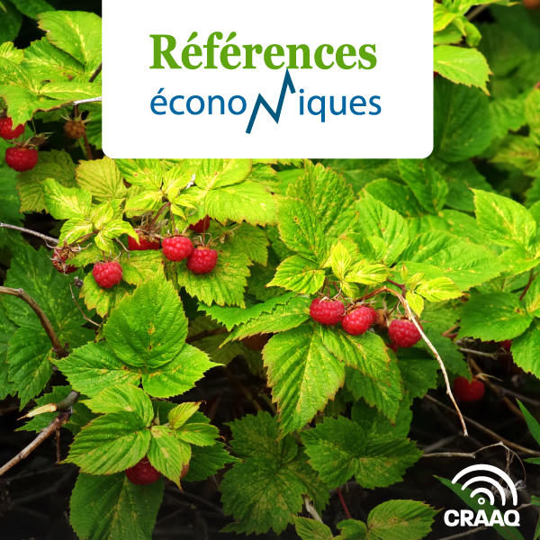 Framboise de champs - Budget - 2023