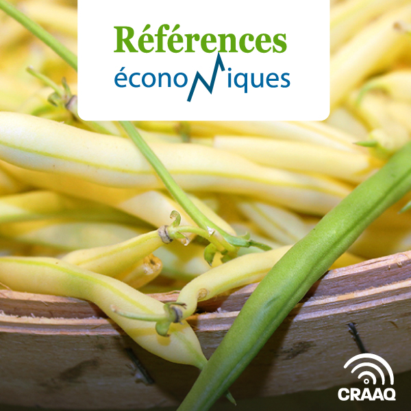 Haricots frais - Récolte manuelle - Budget à l'hectare - 2024 