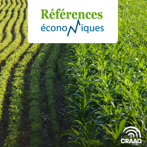 Grains mélangés biologiques – Budget à l'hectare – 2025