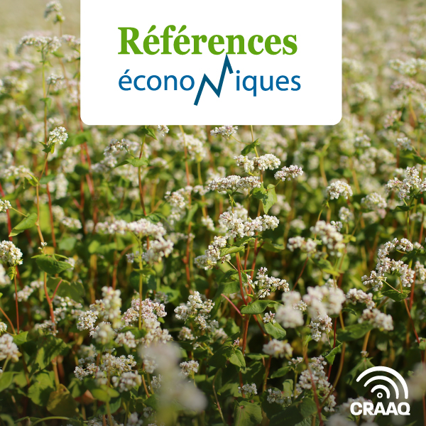 Sarrasin biologique - Budget à l'hectare - 2025 