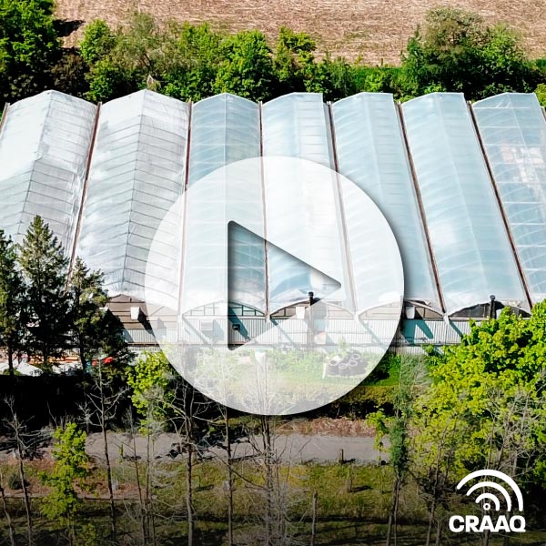 Portrait de la serriculture maraîchère québécoise