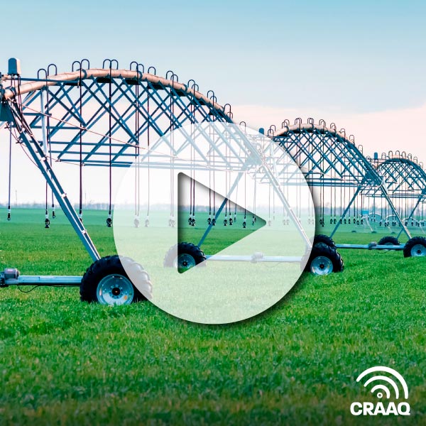 Irrigation de précision et gestion intégrée de l'eau en production de pommes de terre