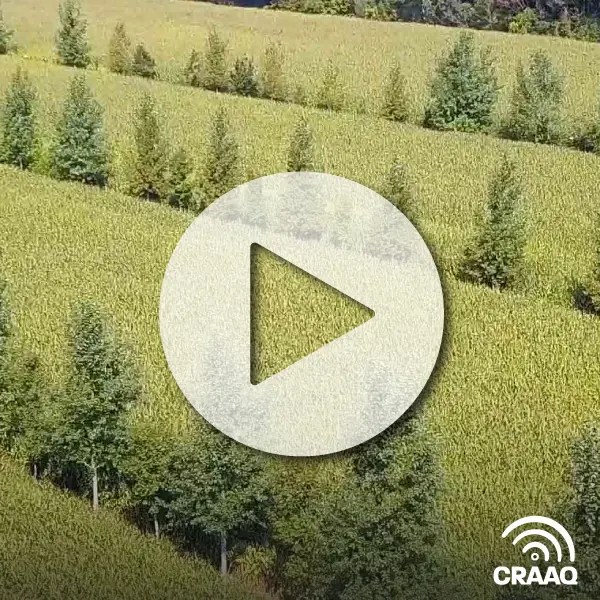 Santé du sol : matière organique et stockage de carbone