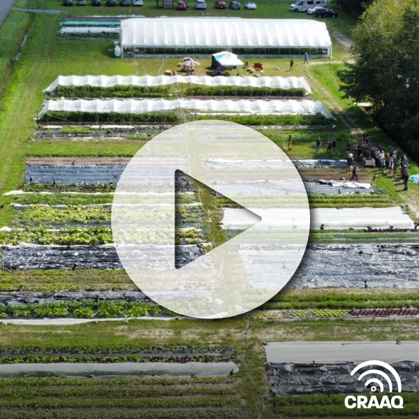 Comment réussir le démarrage d'une petite ferme maraîchère en 2023?