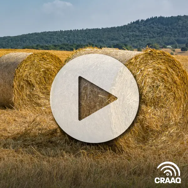 Situation et évolution des marchés du foin de commerce