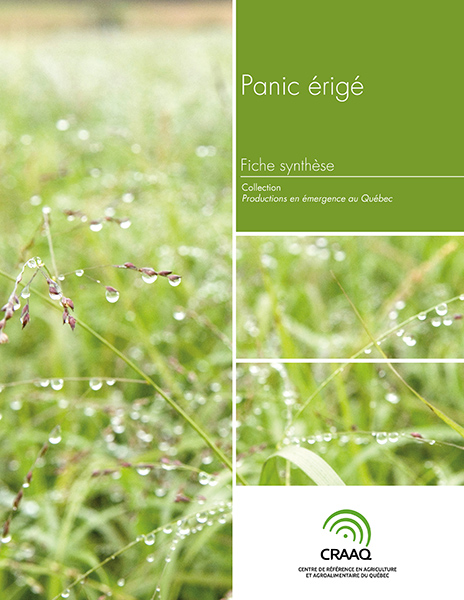 Fiche synthèse - Panic érigé (PDF)