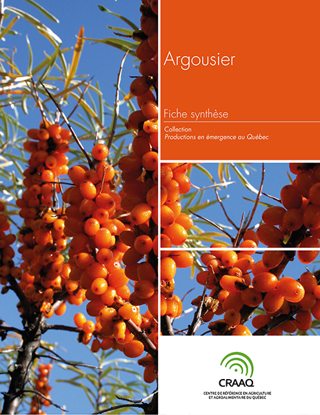 Fiche synthèse - Argousier (PDF)