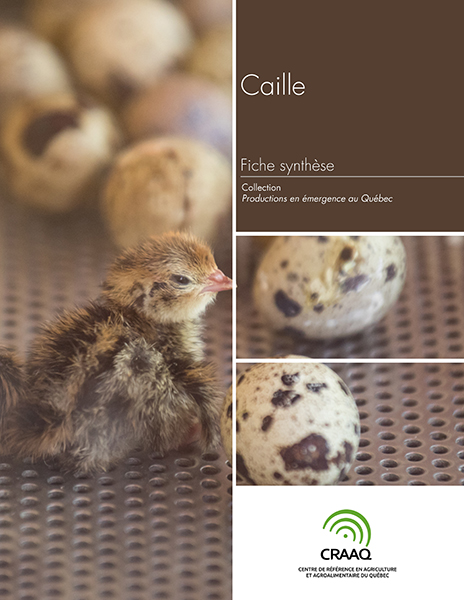 Fiche synthèse - Caille (PDF)