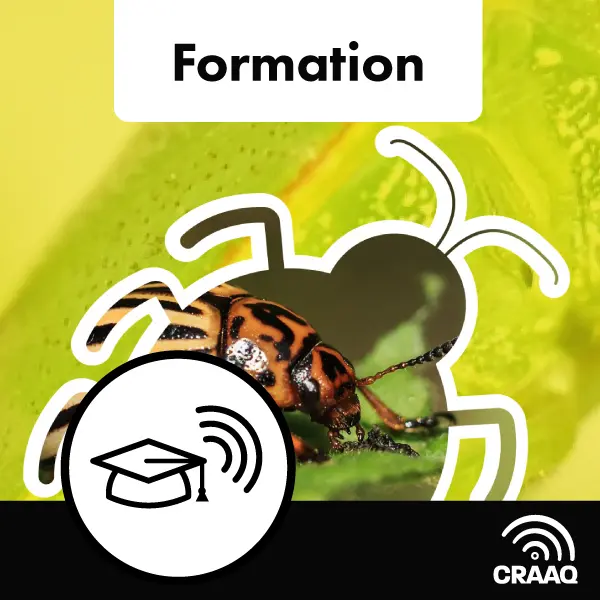 Formation - La résistance des arthropodes aux insecticides et acaricides
