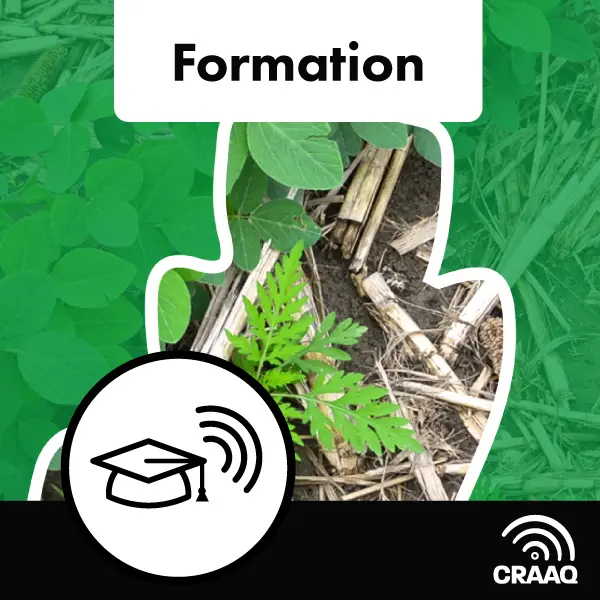 Formation - La résistance des mauvaises herbes aux herbicides