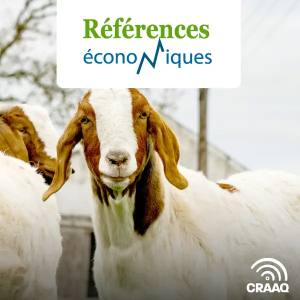 Chèvre de boucherie (300 chèvres) - Budget - chevreaux lourds, grande entreprise - 2015