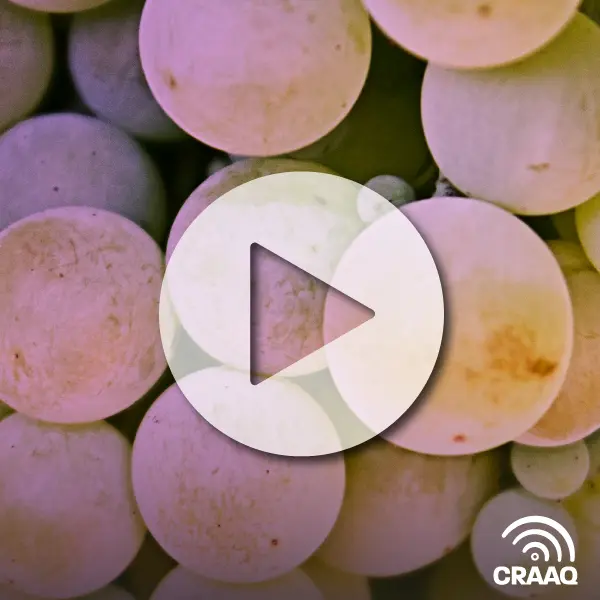 Comprendre le mode d'action des biofongicides pour mieux les utiliser