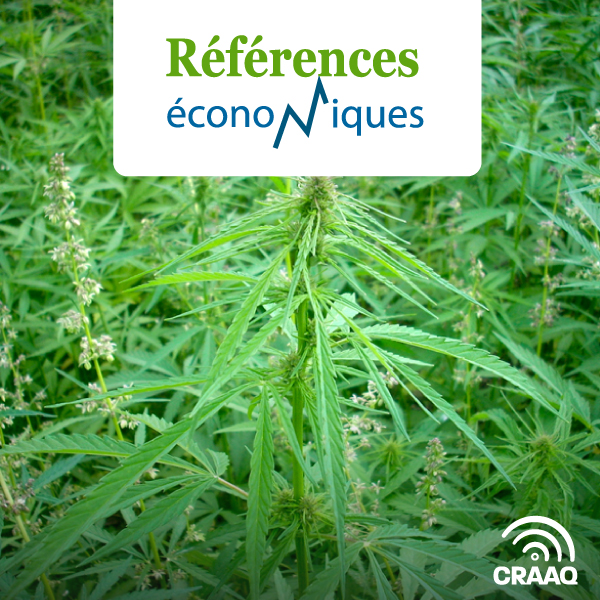 Chanvre biologique – Budget à l'hectare - 2025