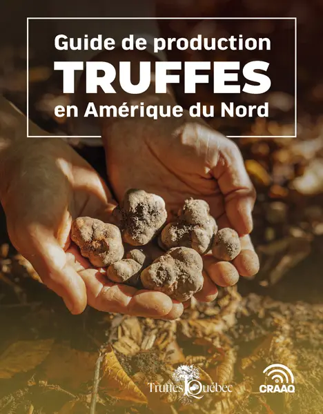 Guide de production : Truffes en Amérique du Nord (PDF)