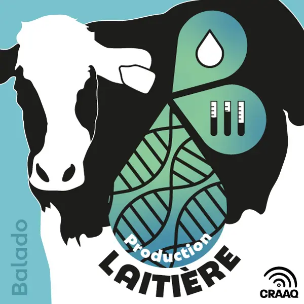 Épisode 14 : La traite ajustée