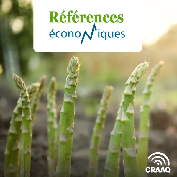 Asperges – Budget à l’hectare - 2026