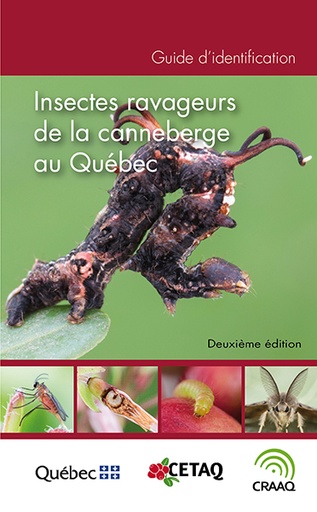 [PPTF0122-PDF] Guide d'identification des insectes ravageurs de la canneberge au Québec (PDF)