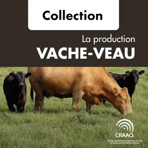 [PBBO0102-PDF collection numérique] La production vache-veau, 3e édition (PDF)