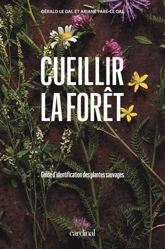 [PAUT0285] Cueillir la forêt : guide d'identification des plantes sauvages