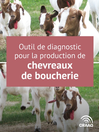 [PCAP0108 fichier Excel] Outil de diagnostic pour la production de chevreaux de boucherie (Excel)