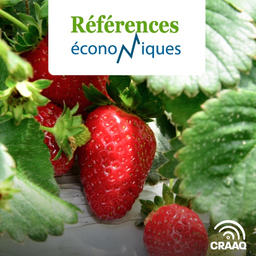 [PREF0047] Fraises d'automne (production en continu) - Budget - 2014