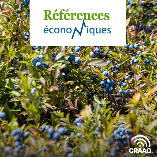 [PREF0077] Bleuet nain semi-cultivé - Budget - 2022