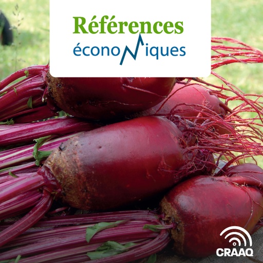 [PREF0091] Betterave - Budget - Légumes en terre minérale - 2024