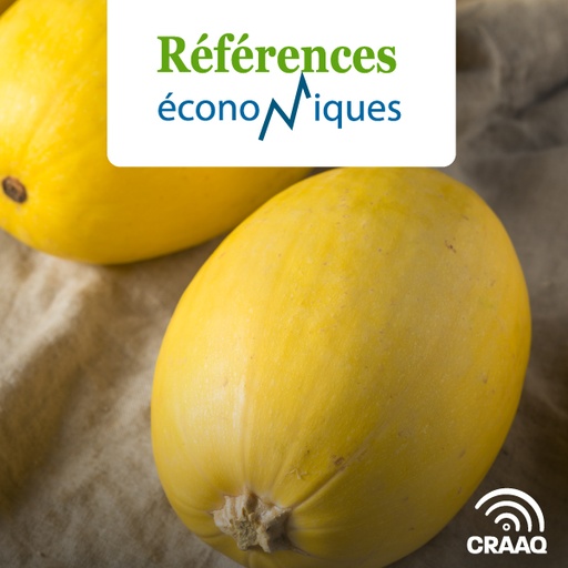 [PREF0152] Courge Spaghetti semée sur paillis de seigle - Budget à l'hectare - Légumes en terre minérale - 2023