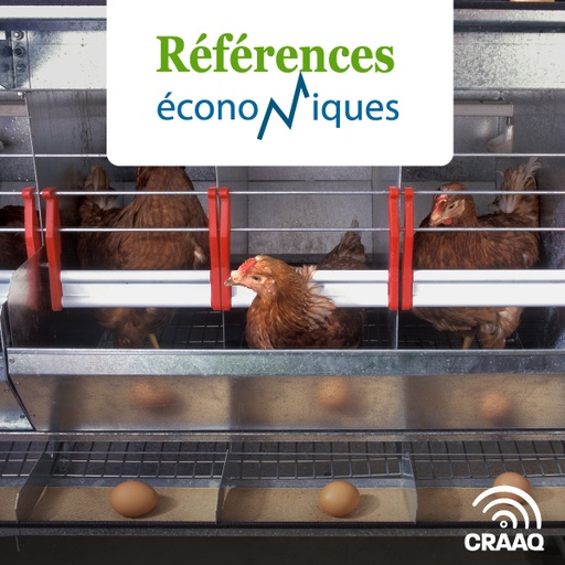 [PREF0227] Oeufs de consommation - démarrage d'entreprise de 12 000 poules - Budget d'entreprise - 2025